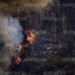 OHNE LIZENT WALDBRAND