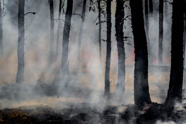 Waldbrand