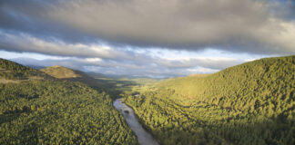 Erfolgreicher Klimaschutz: Schottland hat wieder so viel Waldfläche wie vor 1’000 Jahren