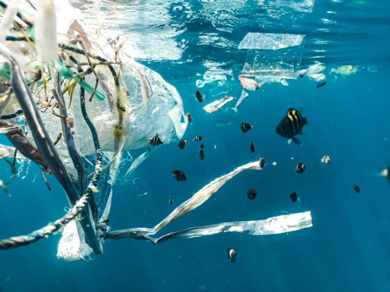 Meilenstein in der Bekämpfung der globalen Plastikkrise