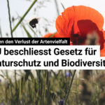 230713_Biodiversität_Web