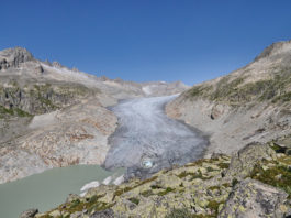 Klimaschutz: Jetzt muss es endlich vorwärts gehen!