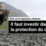 DirektDirect Webvorschau (62)