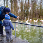Grosseltern im Dählhölzli-Zoo