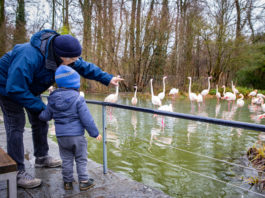 Wenn der Ausflug mit den Enkelkindern zum Luxus wird