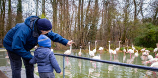 Wenn der Ausflug mit den Enkelkindern zum Luxus wird