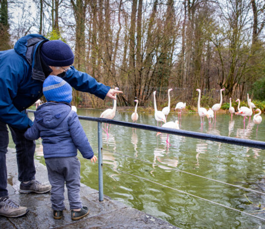 Wenn der Ausflug mit den Enkelkindern zum Luxus wird
