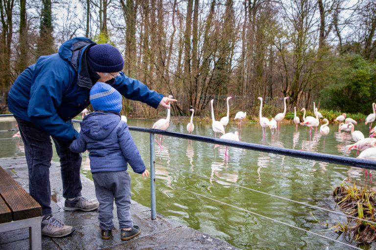 Wenn der Ausflug mit den Enkelkindern zum Luxus wird