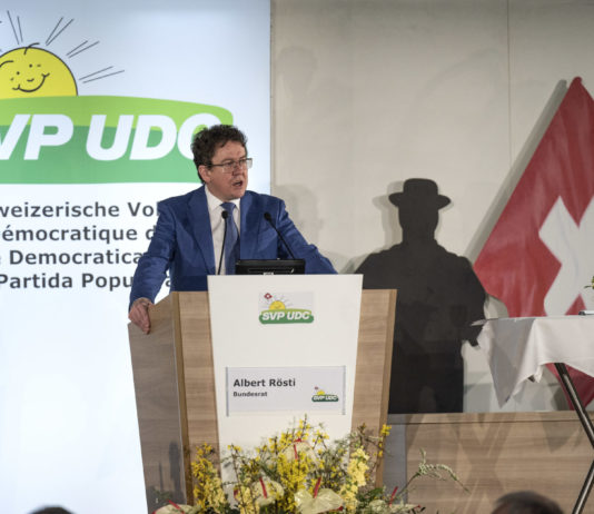 SVP-Vertreter sagen Ja zum Stromgesetz