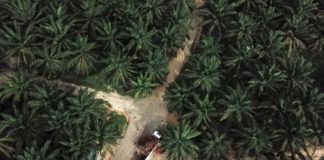 «Menschen ohne Arbeitsbewilligung können einfacher ausgebeutet werden»