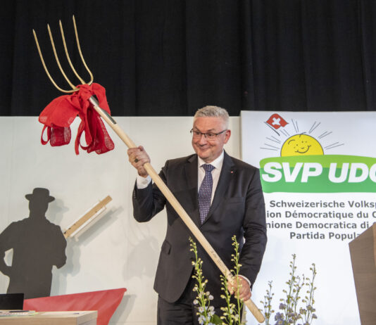 Fünf Beispiele von vergangenen SVP-Entgleisungen