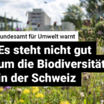 240710_Biodiversität_Web