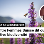 DirektDirect Webvorschau (1)