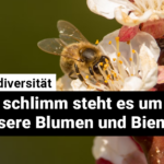 240905_Biodiv_Web