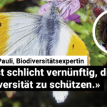 240910_Pauli_Web