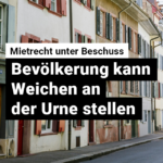 240930_Mietref_Web