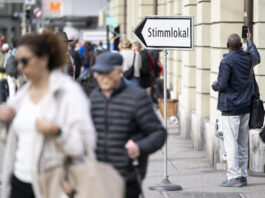 Darüber stimmen wir im November ab