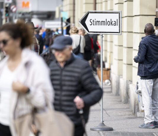 Darüber stimmen wir im November ab