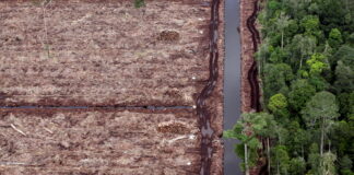 Breite Allianz für einen nachhaltigen Schweizer Finanzplatz