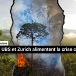 DirektDirect Webvorschau – 2024-11-28T135624.301
