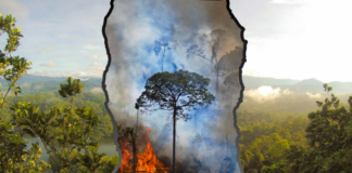 Wie UBS und Zurich die Klimakrise anheizen