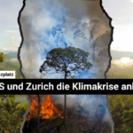 DirektDirect Webvorschau (72)