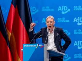 Reiche Eliten im Aufschwung: Wie rechtsextreme Parteien an Boden gewinnen