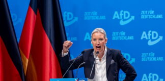 Reiche Eliten im Aufschwung: Wie rechtsextreme Parteien an Boden gewinnen