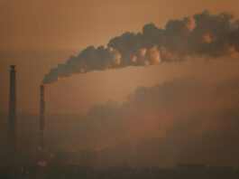 Sophie Fürst: «Unserem Planeten geht es nicht gut.»