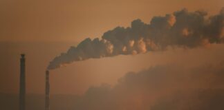 Sophie Fürst: «Unserem Planeten geht es nicht gut.»