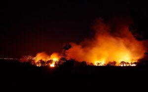 Verheerende Waldbrände nehmen aufgrund der Klimakrise zu.