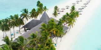 Eine Welt für wenige