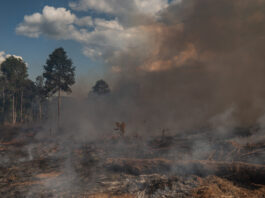 UBS widerspricht eigenem Netto-Null-Ziel mit dreckigen Geschäften