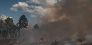 UBS widerspricht eigenem Netto-Null-Ziel mit dreckigen Geschäften