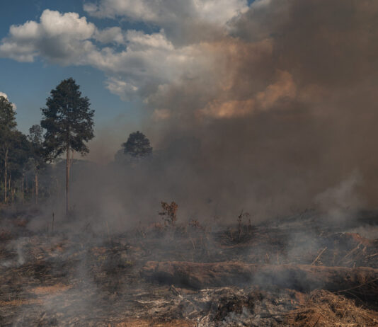 UBS widerspricht eigenem Netto-Null-Ziel mit dreckigen Geschäften