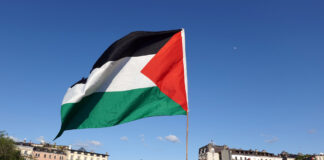 Grossdemonstration für Gaza: Druck auf Bundesrat steigt