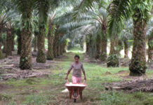 Indonesien: Militär auf dem Vormarsch