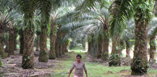 Indonesien: Militär auf dem Vormarsch