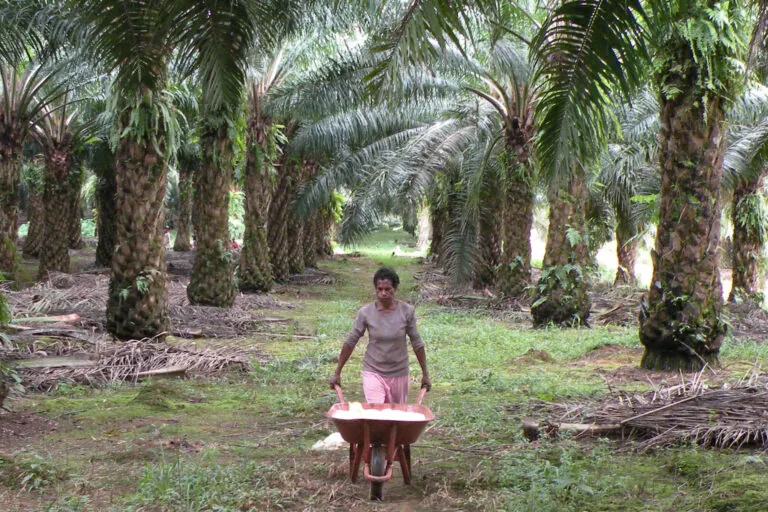 Indonesien: Militär auf dem Vormarsch