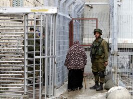 Druck auf Israel: Wieso die Zweistaatenlösung wichtig ist Eine Frau mit langem schwarzem Gewand und braun-weißem Blumenschal über dem Kopf stützt sich auf einen Gehstock und geht durch einen engen Korridor aus hohen Metallzäunen. Links im Bild sieht man ein drehkreuzartiges Tor, dahinter einen in olivgrüner Uniform und Helm gekleideten Soldaten. Rechts steht ein weiterer Soldat in Kampfmontur mit Helm und Gewehr, der in Richtung der Kamera blickt. Der Boden ist feucht und mehrere große Betonkugeln sichern die Barrieren an den Seiten.