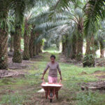 Worker