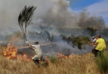 Sommer 2025: Klimaerhitzung kostet Europa 40 Milliarden Franken