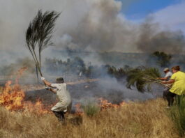 Sommer 2025: Klimaerhitzung kostet Europa 40 Milliarden Franken