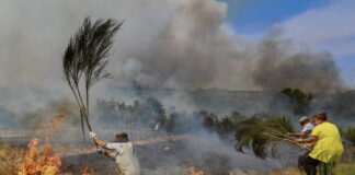 Sommer 2025: Klimaerhitzung kostet Europa 40 Milliarden Franken