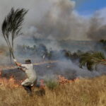 Forest fire in Trancoso