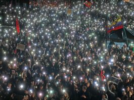 Serbien-Proteste: «Die Studierenden zeigen von Beginn an hohes Mass an Organisation und Kreativität.»