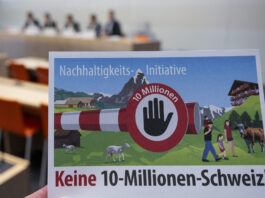 Chaos-Initiative: Das gefährliche Experiment der SVP