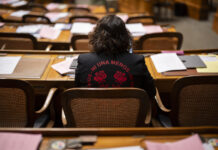 Eine halbe Million Unterschriften: Wenn Frauen sich mobilisieren Rückansicht von Tamara Funiciello, die in einem Halbkreis mit Holzmöbeln sitzt, vor ihr Reihen von Schreibtischen, die mit Akten, Blättern und einem Laptop übersät sind. Sie trägt eine schwarze Jacke mit einer roten Aufschrift „Ni Una Menos” (Nicht eine weniger), die zwei stilisierte Rosen umgibt.