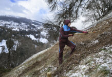 Aushöhlung des Zivildienstes: Ein Frontalangriff der Rechten