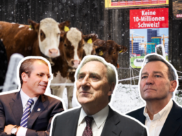 SVP-Initiative: Diese Millionäre und Milliardäre greifen die Löhne an